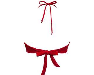 Geranium / Versatile Bikini Top