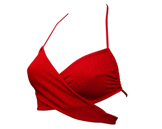 Geranium / Versatile Bikini Top