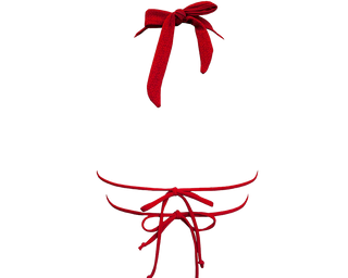 Geranium / Versatile Bikini Top